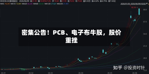 密集公告!PCB、电子布牛股,股价重挫
