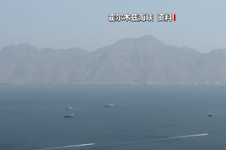 霍尔木兹大消息，伊朗宣布：通行船只须提交申请，60天内免费	，相关费用由伊朗政府承担！德国派军舰前往中东